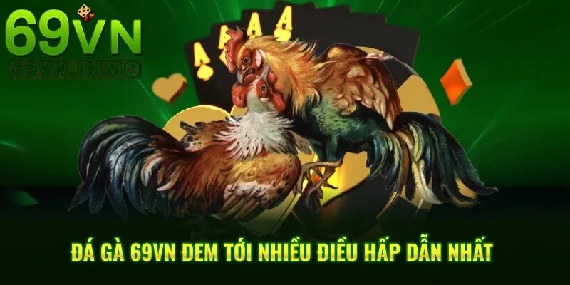 Đá Gà 69vn 2 Đá gà 69vn đem tới nhiều điều hấp dẫn